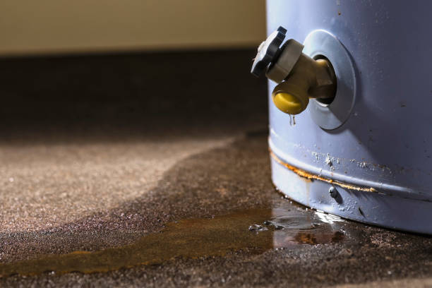 Reliable AZ Water damage restoration Solutions