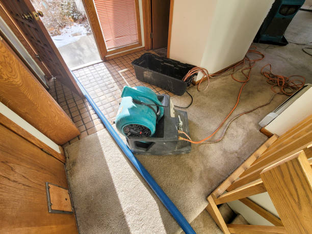 Best Water damage restoration company  in Bagdad, AZ