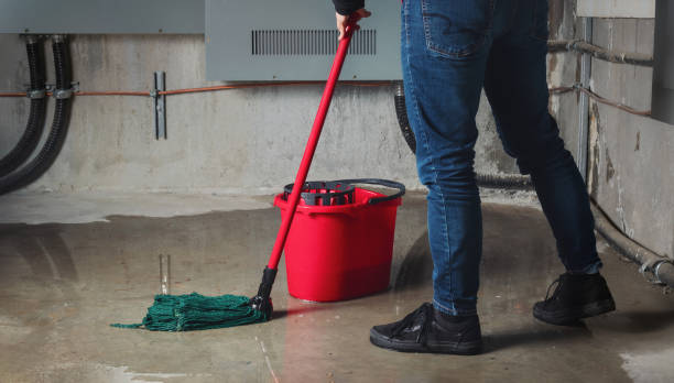 Best Mold removal after water damage  in Bagdad, AZ