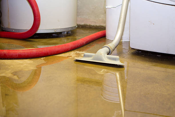 Best Commercial water damage restoration  in Bagdad, AZ