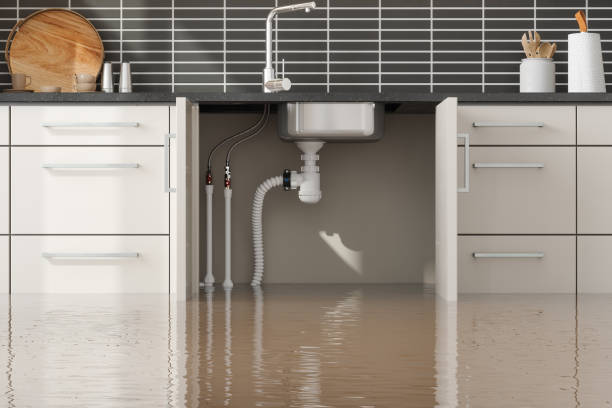 Best Water damage cleanup near me  in Bagdad, AZ